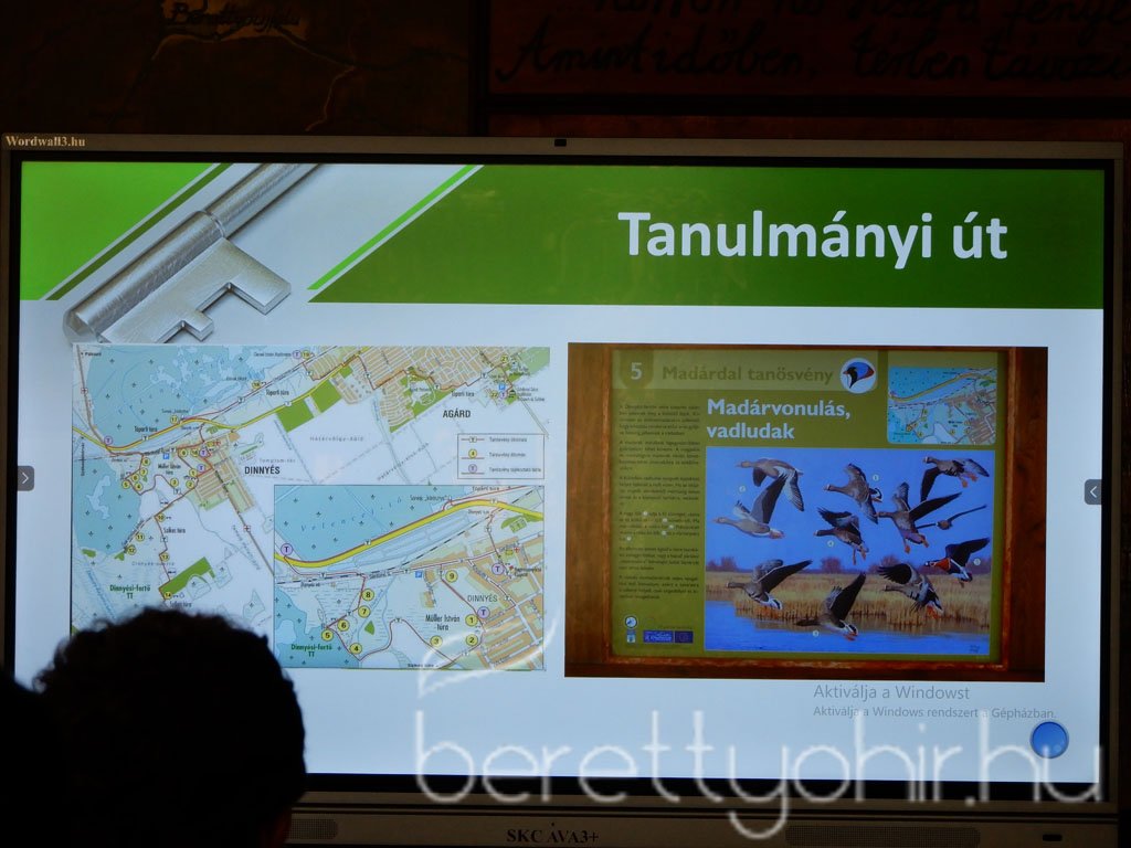 fenntartható egészség 19